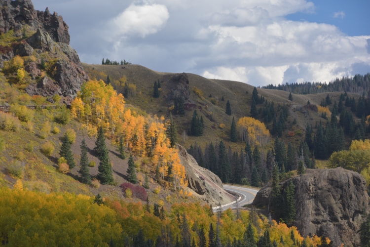 train through autumn colors